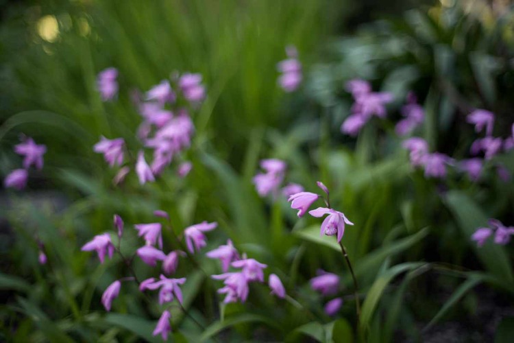 _A7C1393-CONT