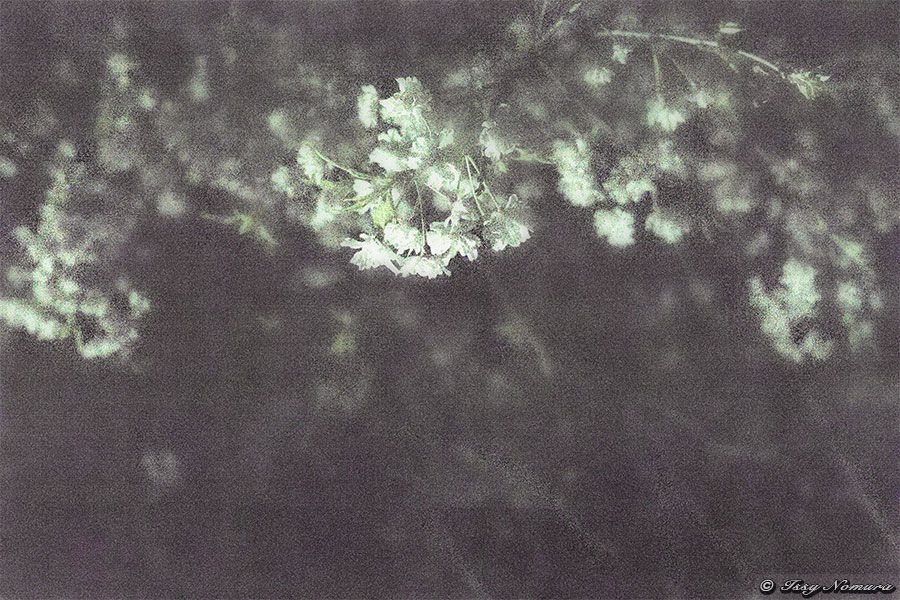 _D5C2573