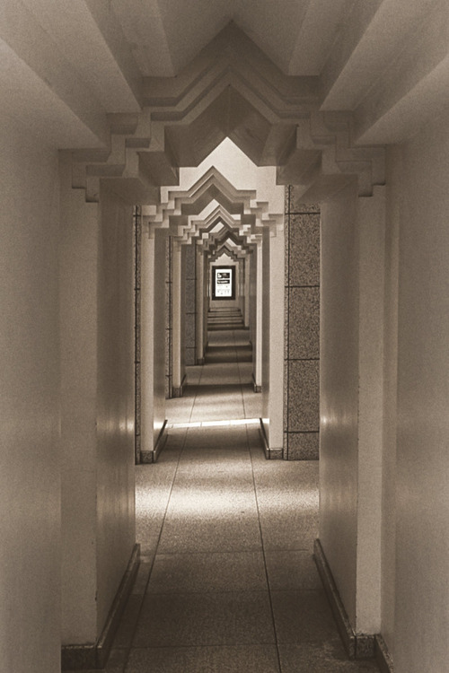 _1020149mono