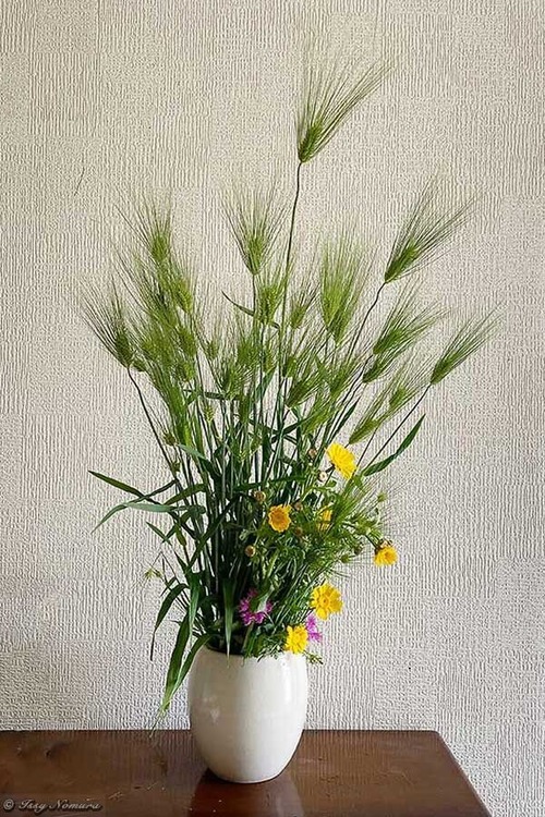 0fd54d91