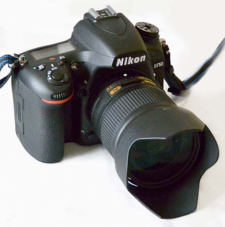 ニコン D780 D750 レビュー Nikon D750 Vs D780 Dphoto Jp