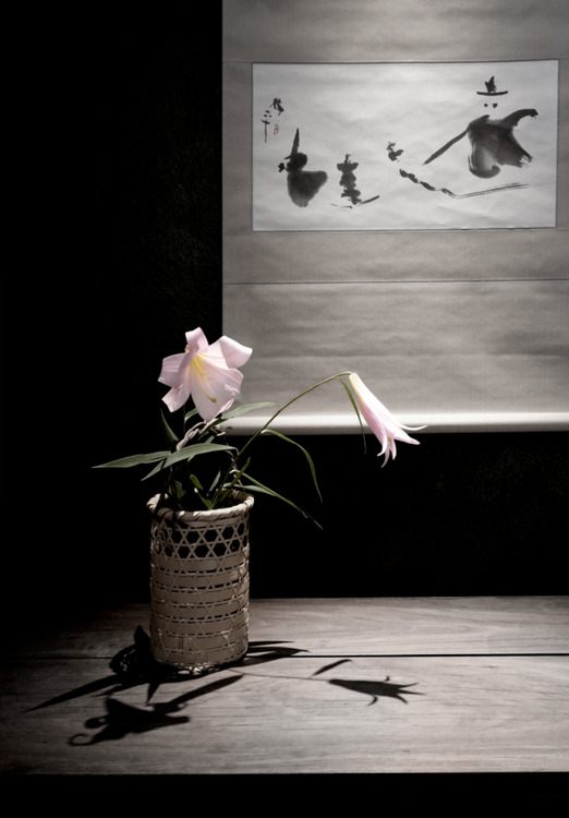 _A7C3195mono