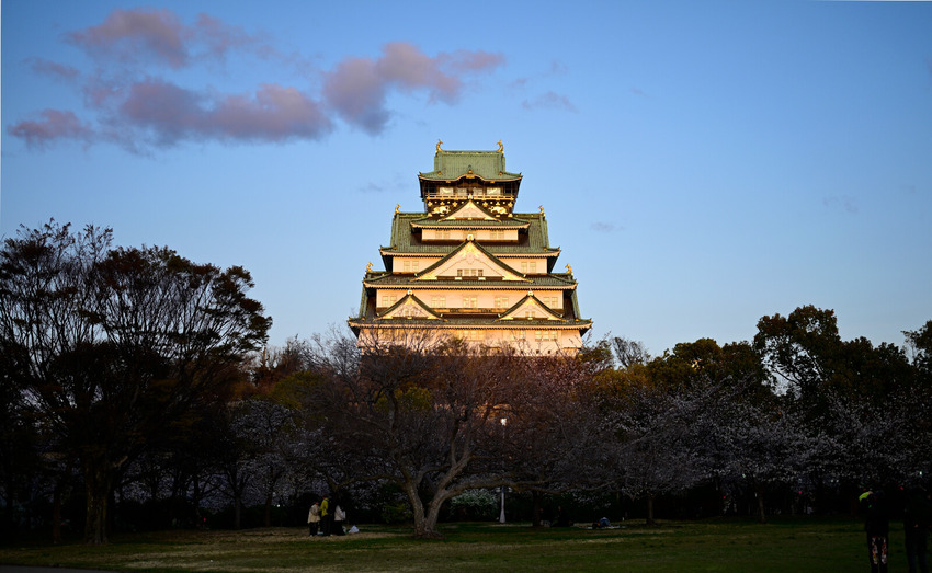 _NZ66409