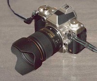 _DSC0367w