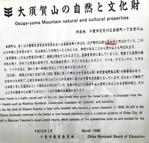 ���𣳣�������