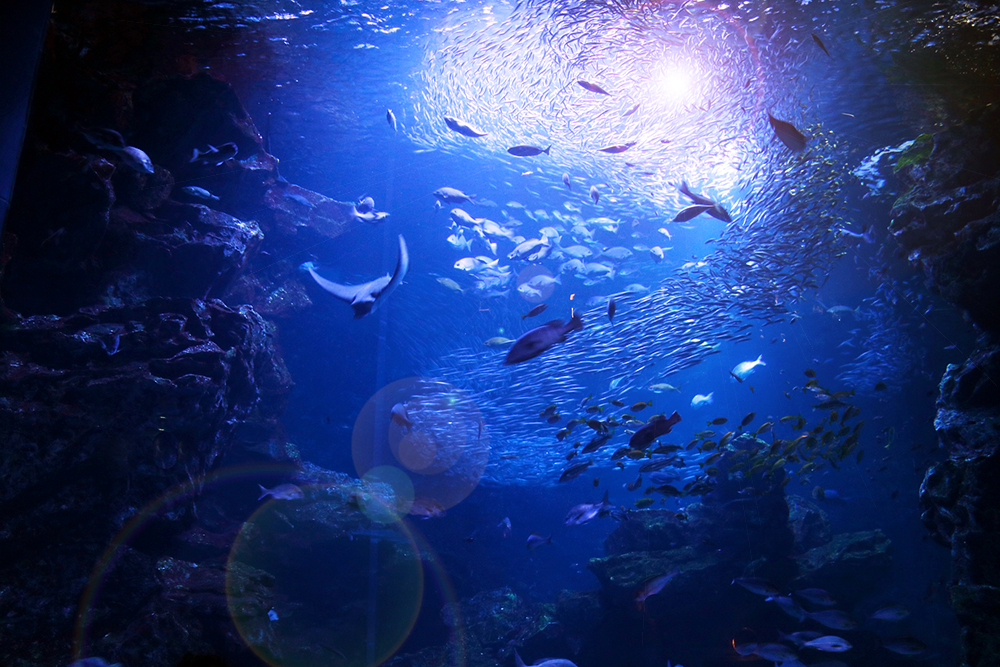 15_01_海底のイメージ