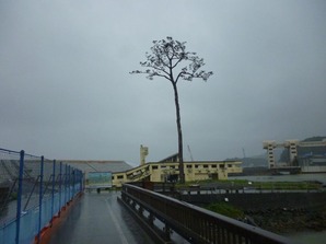 ��������̺Ҥο̺Ұ乽�˳ؤ֭�����1