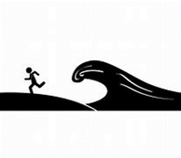 ����31����1