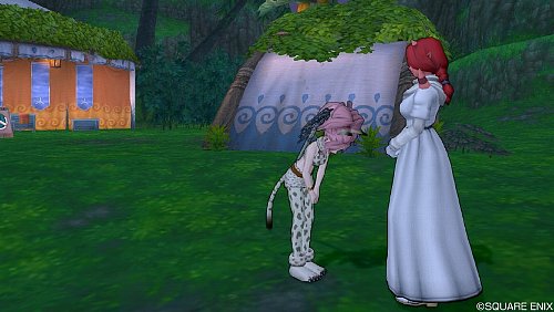 レベル開放80 85場所 ブルサベージ ずしおうまる 密林の野営地 ドラクエ10攻略 ゆうかの思い出