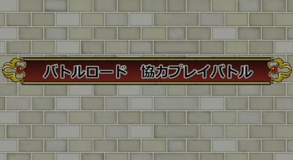 dq10002220 (4)