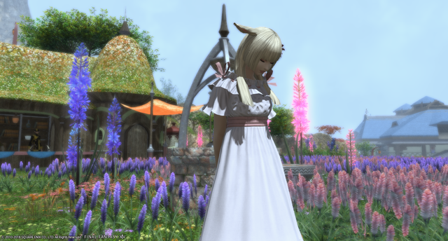 ffxiv_20181111_165619