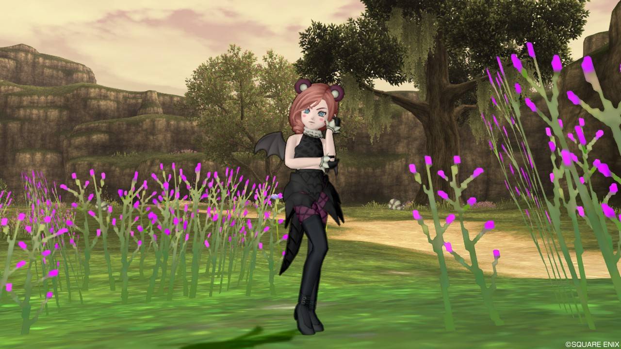 今日のコーデ ヤマネコトップ ドラグーンメイル下 ドラクエ10 ドラクエ10 エルフの羽根は食べられませんっ