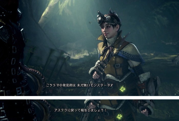 任務クエスト 探索 イヴェルカーナの痕跡を追って Mhwアイスボーン モンハンライズ サンブレイク ライトボウガン担いで行きます 狩