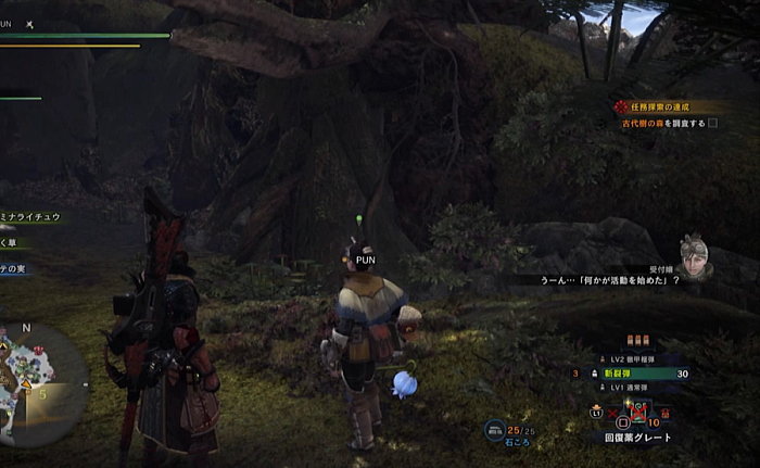 任務クエスト 探索 イヴェルカーナの痕跡を追って Mhwアイスボーン モンハンライズ サンブレイク ライトボウガン担いで行きます 狩