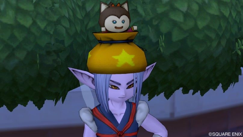 ドラクエ10 袋入りプーちゃん帽 プーちゃんとダブルすれちがい ドラクエ10 屋根裏 サーチ