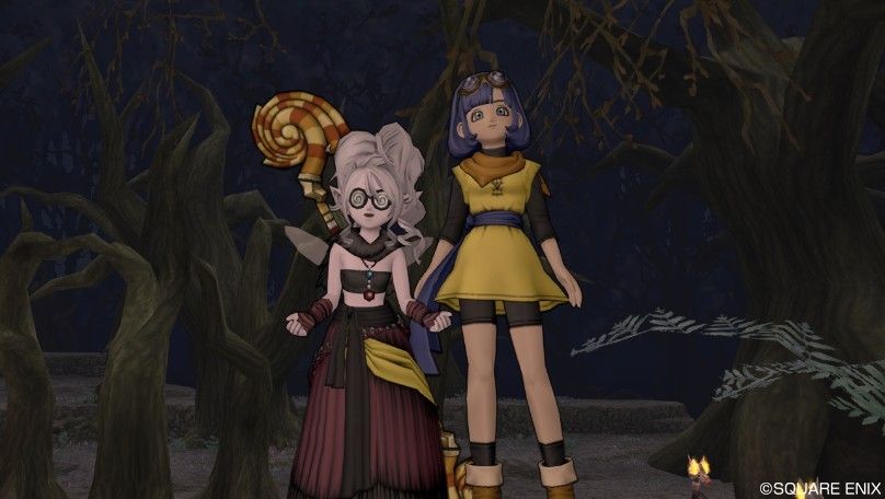 野生のセラフィがでた 偽りの魔女の森e 7 Dq10 もこブログ