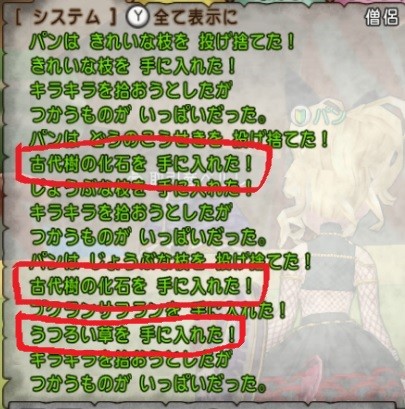 Ver4 4 自然遺産保護区でキラキラマラソン パンのアストルティア大冒険 Ver4 4 自然遺産保護区でキラキラマラソン パンのアストルティア大冒険