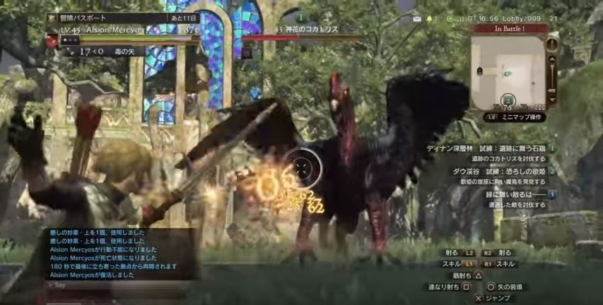 Ddon ディナン深層林 試練 遺跡に舞う石鶏 クエスト ソロ攻略 ドラゴンズドグマオンライン ゲーム攻略のまほろば