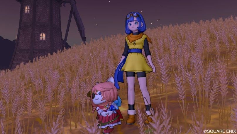 速報 野生のセラフィ出現中 偽メルサンディ穀倉帯c 6 追記 ２０時０１分に飛んでいきました ぷくりんのあしあと ドラクエ10攻略