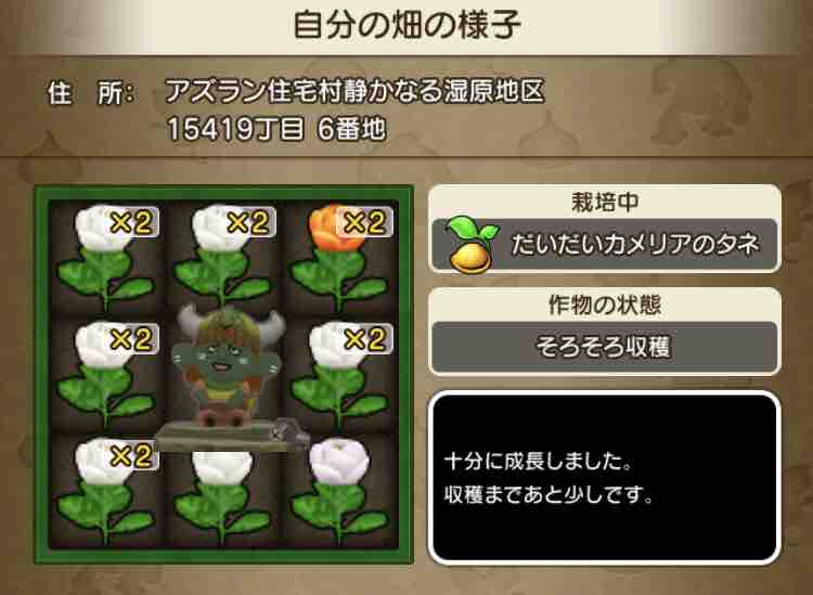 竜牙石金策 るる子の金策物語 竜牙石金策 るる子の金策物語