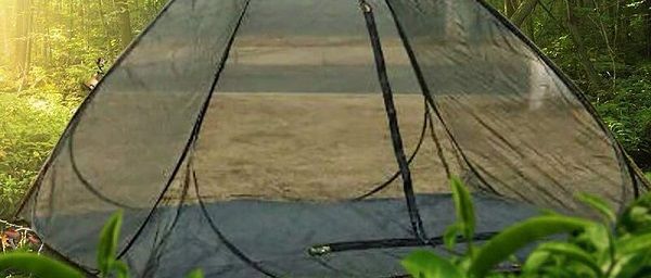 コット 夏はポップアップ式の蚊帳とコットで十分 キャンプ入門 Com コット 夏はポップアップ式の蚊帳とコットで十分 キャンプ入門 Com