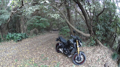 DSC03334 (1)