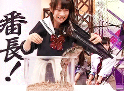 乃木坂まとめ情報曲