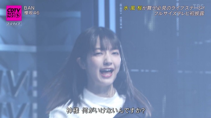 櫻 坂 46 速報