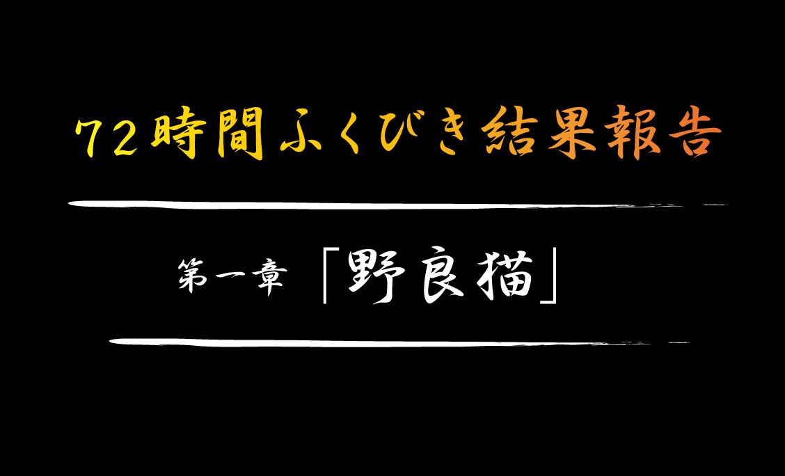72時間ふくびき結果報告 第一章 野良猫 ガチ無課金でdqmslを攻略するブログ