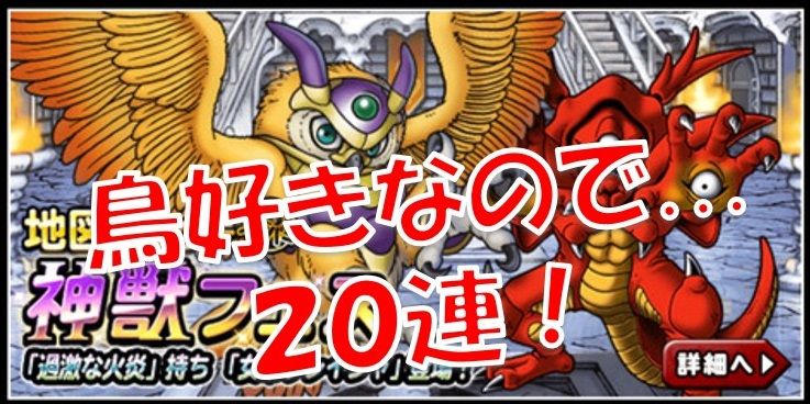 神獣フェス 女帝フレイシャふくびき20連 Dqmsl遊楽部 神獣フェス 女帝フレイシャふくびき20連 Dqmsl遊楽部