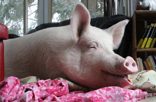 10406585_727789897328237_5634649260734423485_n