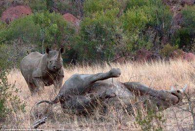 1411388049133_wps_11_EXCLUSIVE_SOUTH_AFRICA_SE