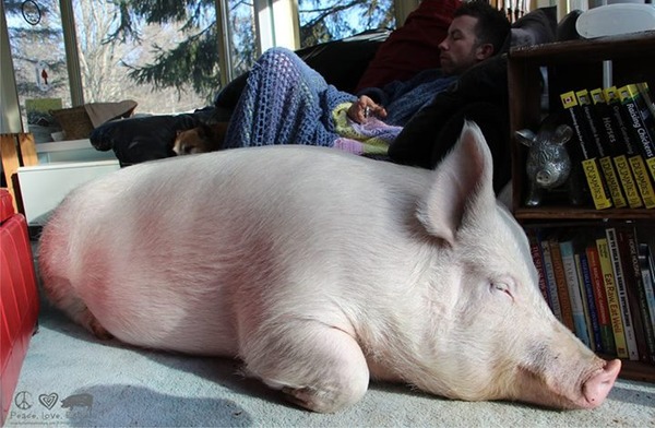 10671479_712980088809218_6272105428158350906_n