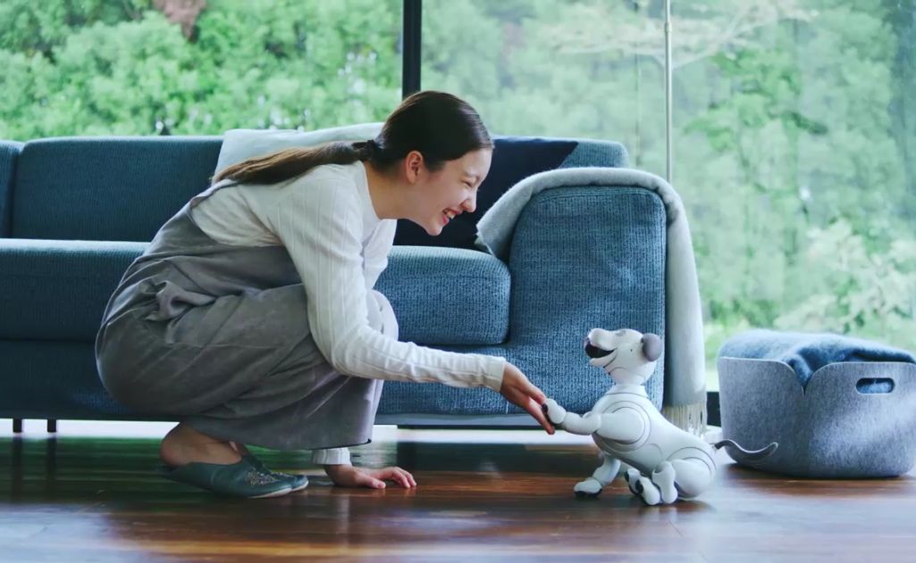 痛いニュース(ﾉ∀`) : 【ソニー】 ロボット犬「aibo（アイボ）」が復活！ お値段198,000円、月額2,980円 - ライブドアブログ