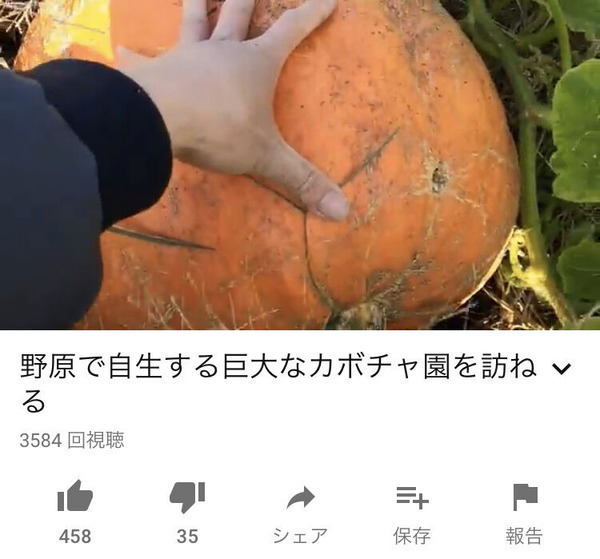 QCStbVU
