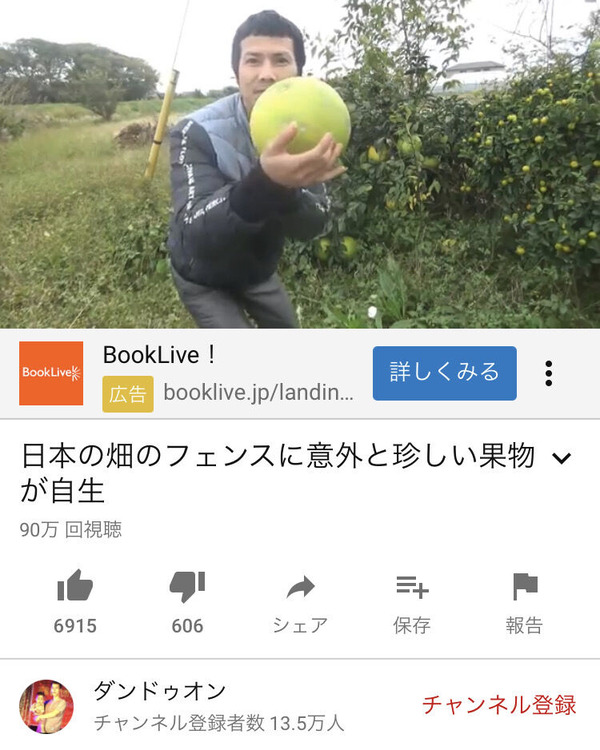 tqKVYo1