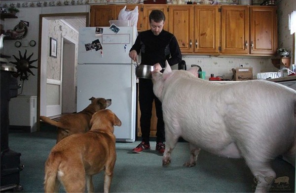 10923456_728461293927764_6931333927120972046_n