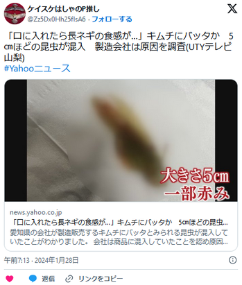 痛いニュース(ﾉ∀`) : 【こくうま】「口に入れたら長ネギの食感が…」キムチにバッタか 5㎝ほどの昆虫が混入 製造会社「東海漬物」は原因を
