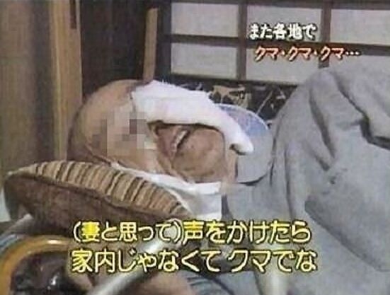子グマを犬と勘違いして触ろうとした観光客 背後から親グマに襲われる はてブのオアシス 子グマを犬と勘違いして触ろうとした観光客 背後から親グマに襲われる はてブのオアシス