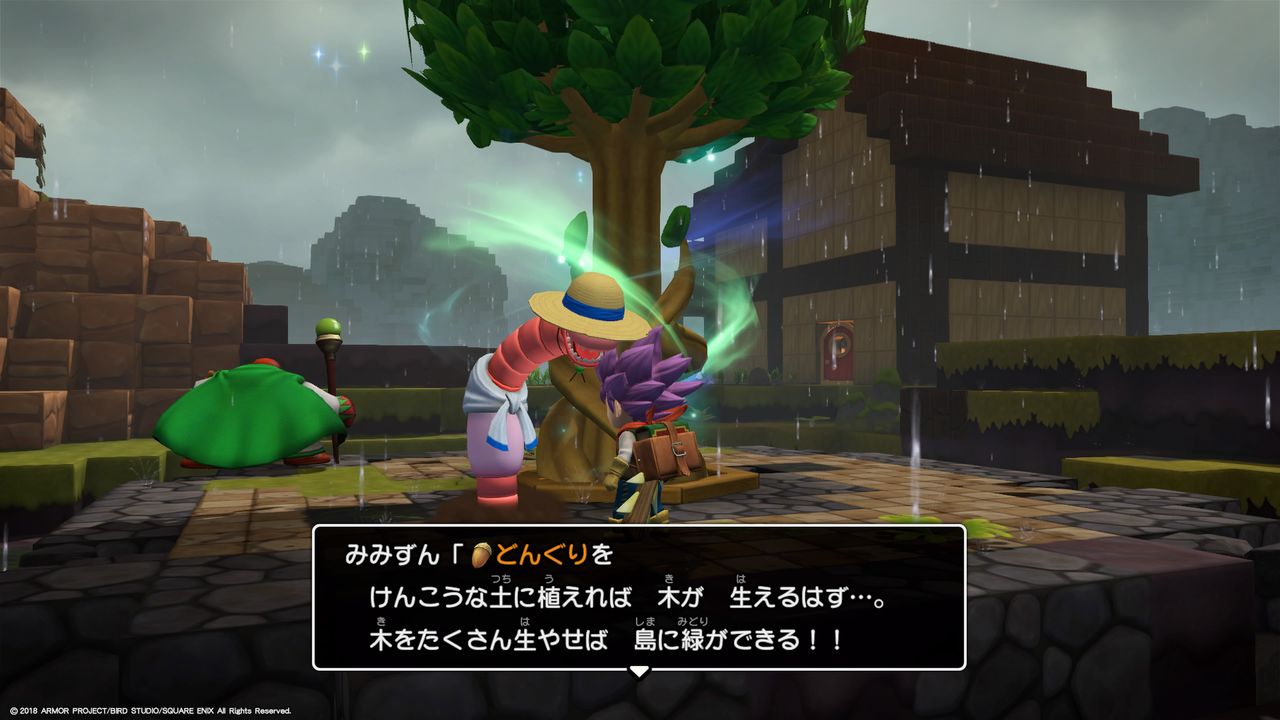 Dqb2 11マギールちゃん 一輪のテンスの花