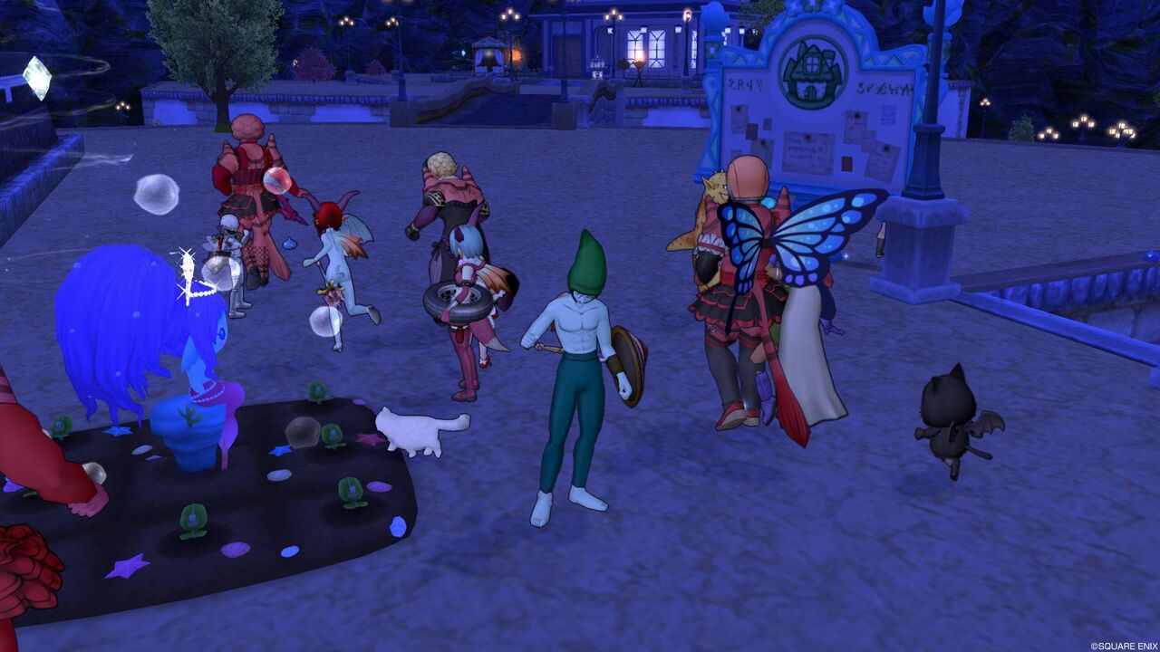 ドラクエ１０ 第６回 変態バナナトラップ集会 に行っていた 一輪のテンスの花