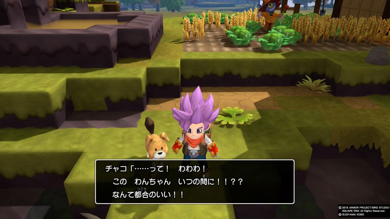 Dqb2 6かわきのつぼ 一輪のテンスの花