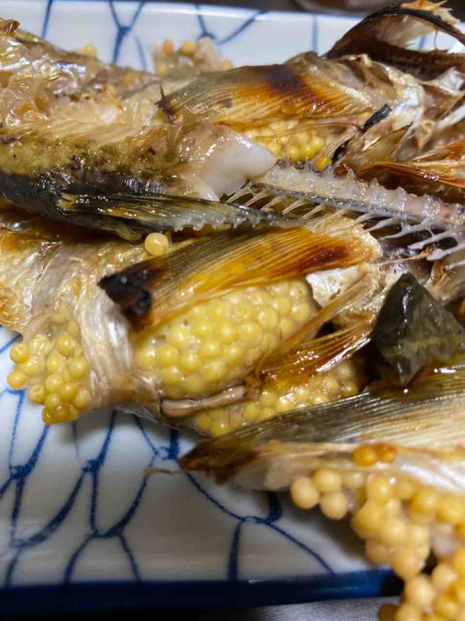雑記 蛸とか 食べ記録 釣りもするよ