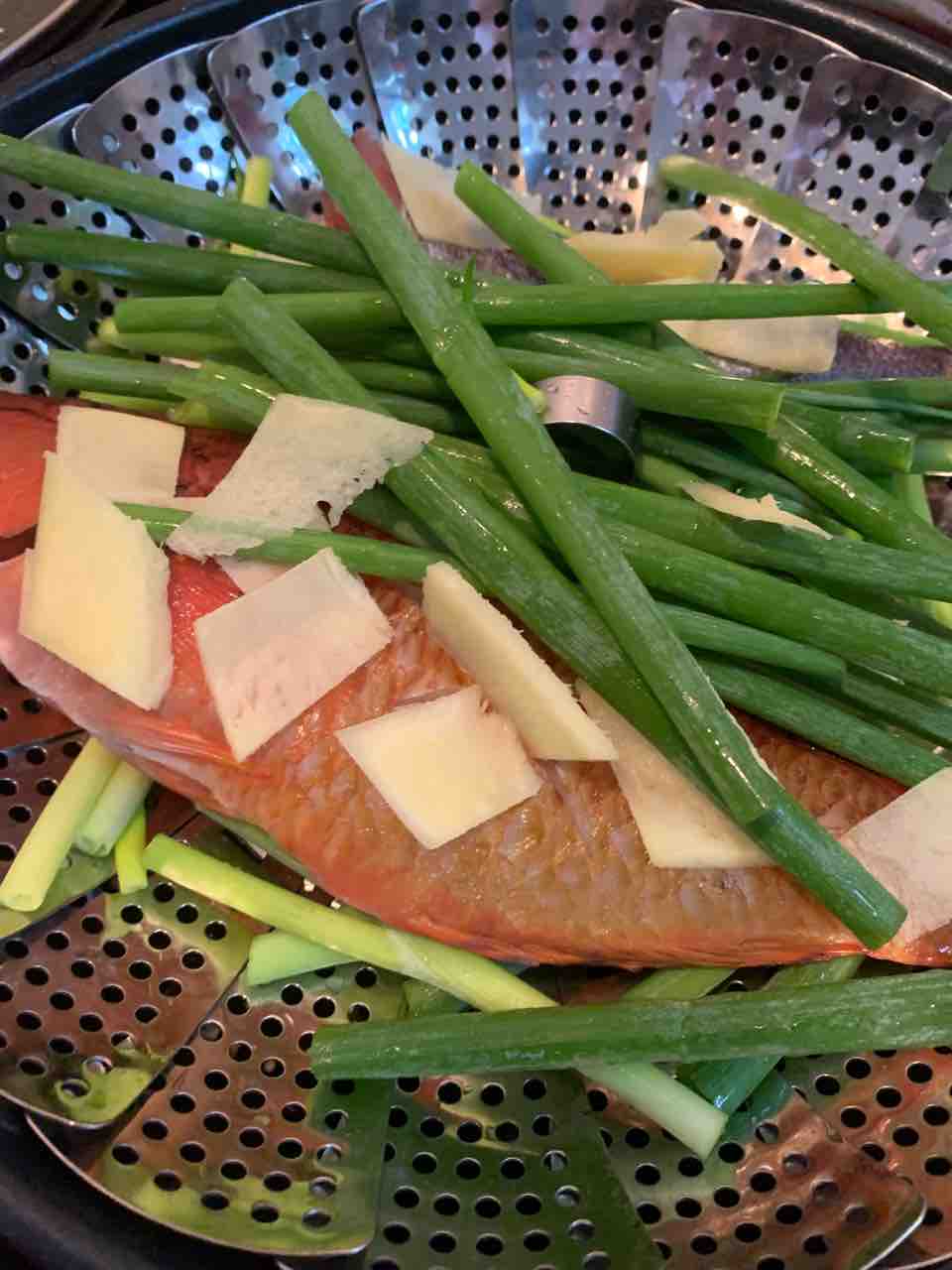 アカササノハベラ 食べ記録 釣りもするよ
