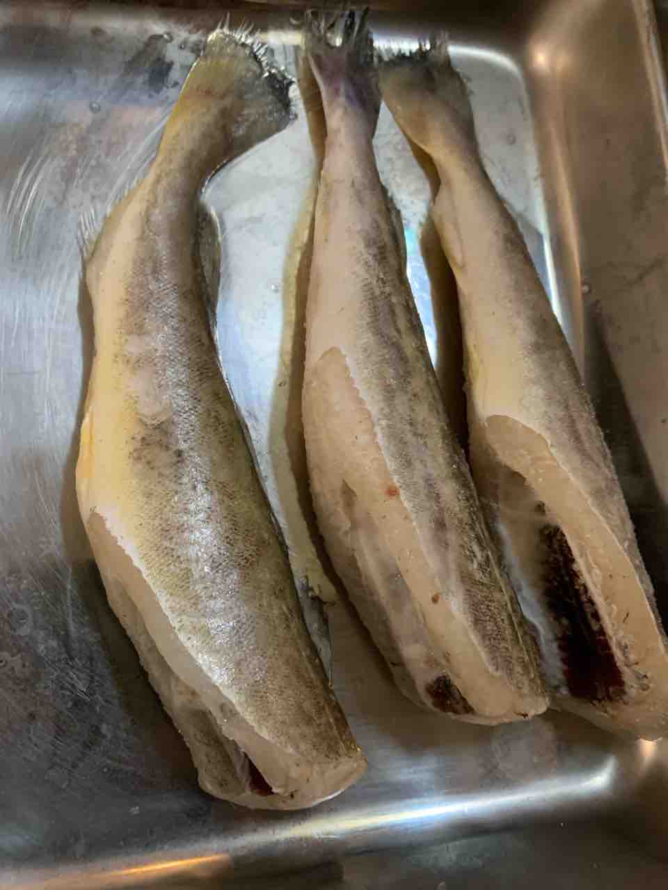 甦れ冷凍魚 食べ記録 釣りもするよ 甦れ冷凍魚 食べ記録 釣りもするよ