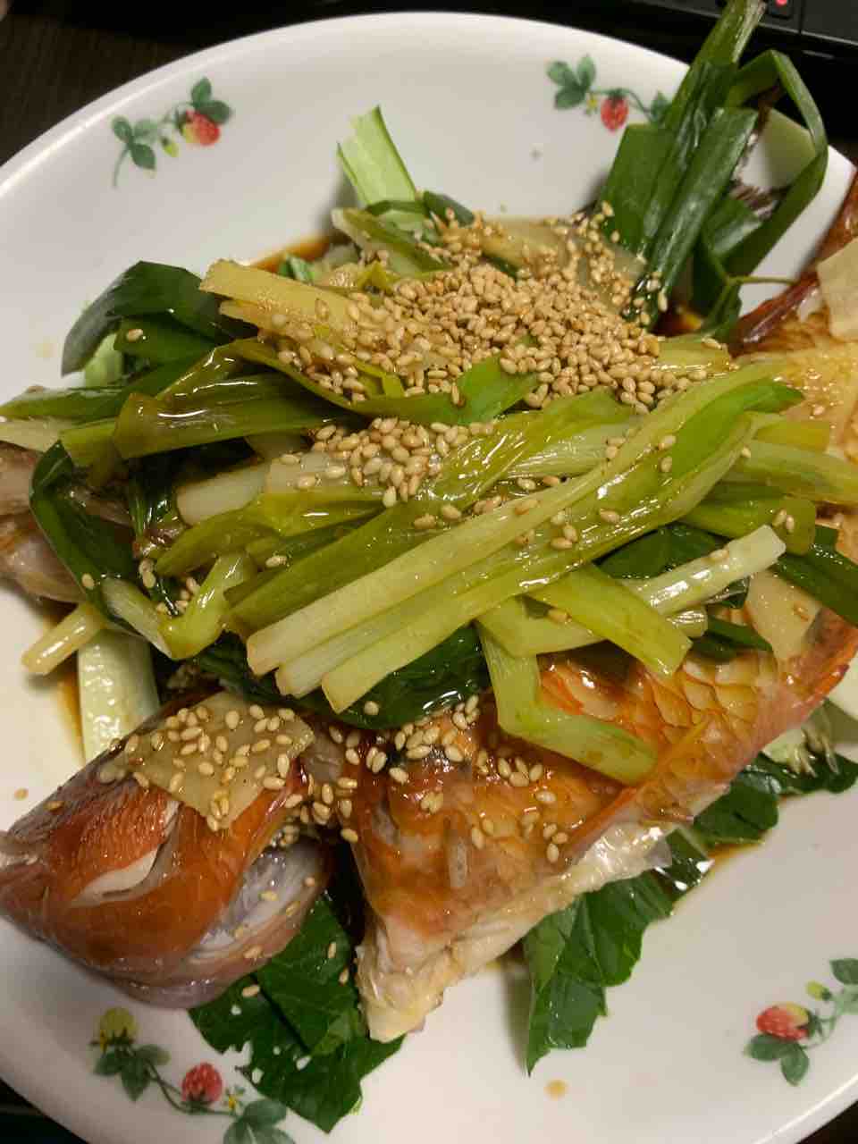 アカササノハベラ 食べ記録 釣りもするよ アカササノハベラ 食べ記録 釣りもするよ