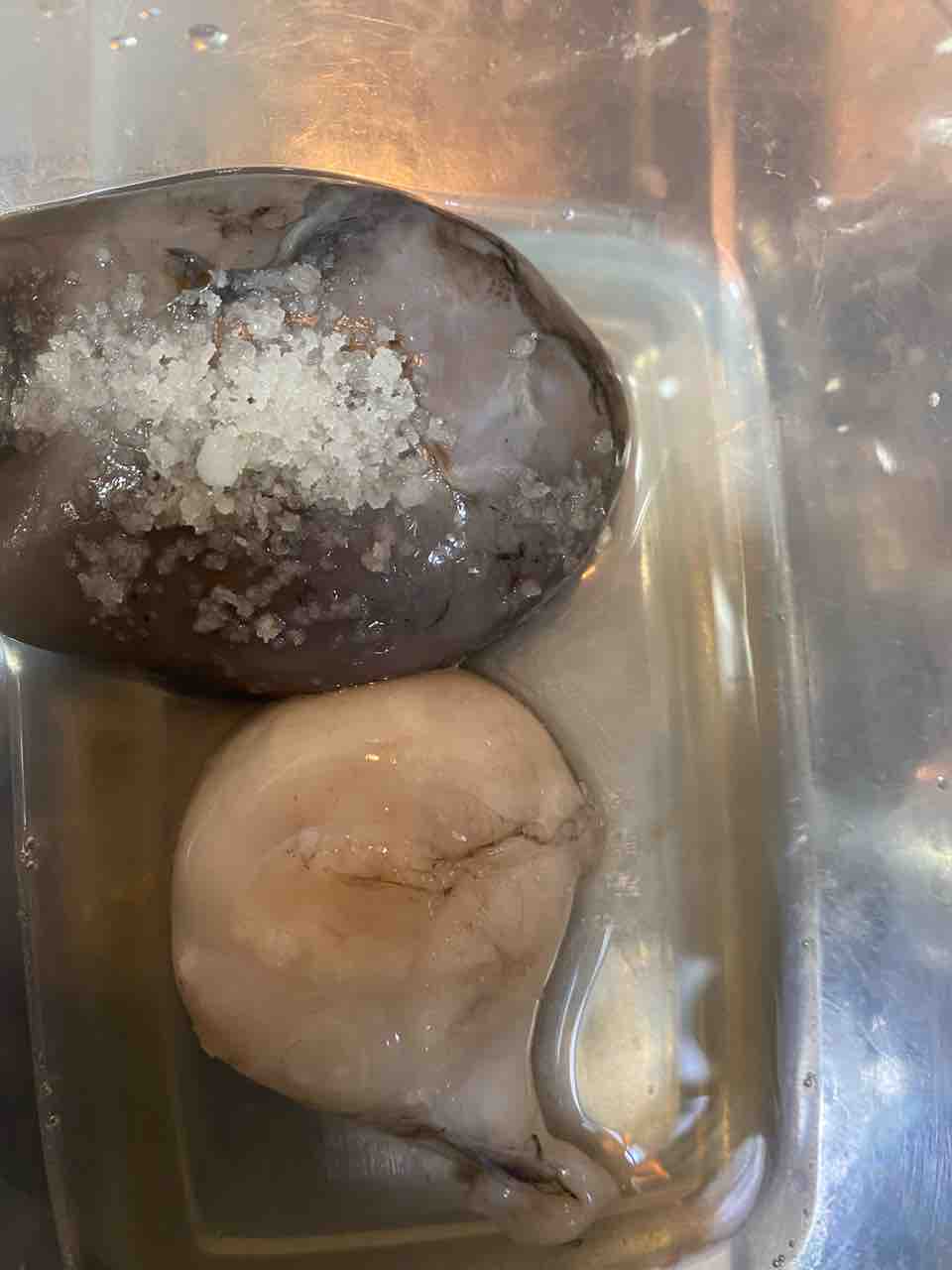雑記 蛸とか 食べ記録 釣りもするよ