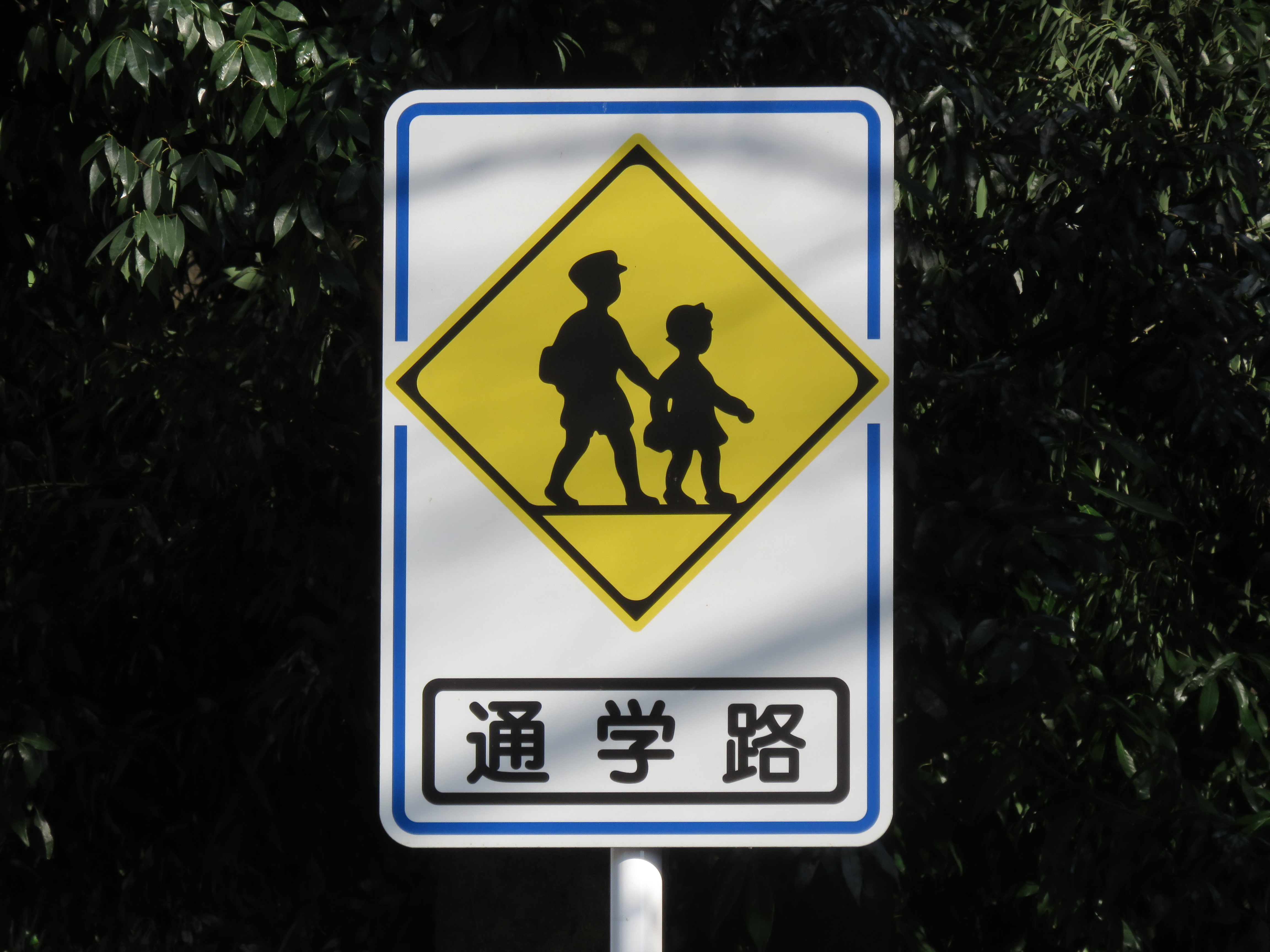 通学路の標識 Freebackphoto 通学路の標識 Freebackphoto