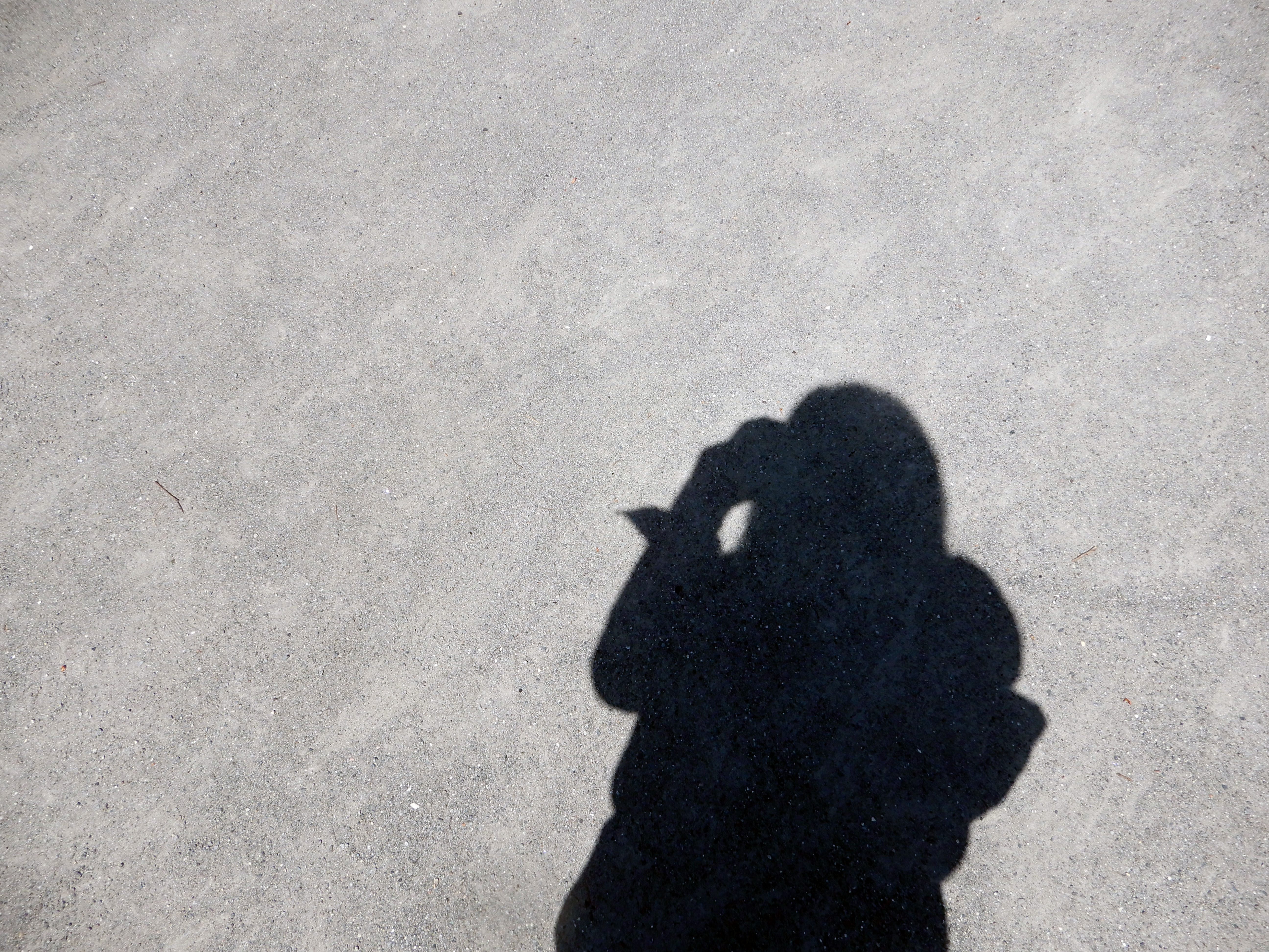 写真を撮る女性の影 Freebackphoto 写真を撮る女性の影 Freebackphoto