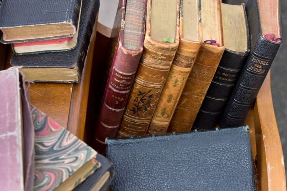 臨床医のための医学論文の書き方指南書あれこれ 負け犬主義